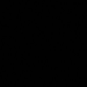 Meet your Posher, Camilo